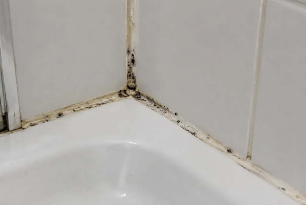 Kitbedrijf Muiden – beschimmelde kitranden